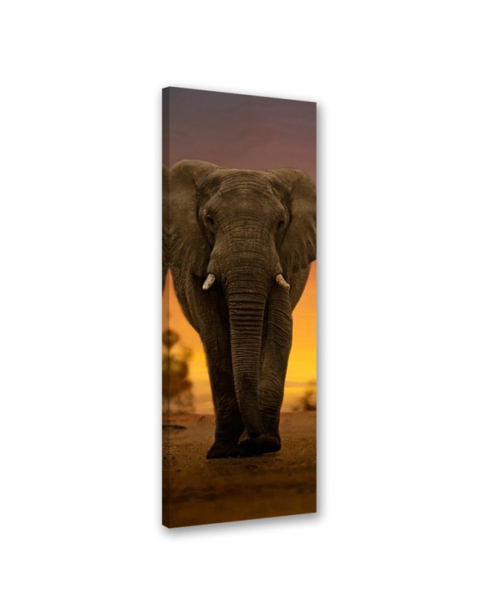 Canvas print Elephant in...