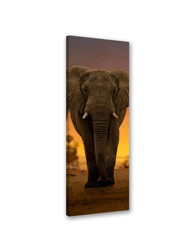 Interior design picture - Elephant in the desert | FEEBY