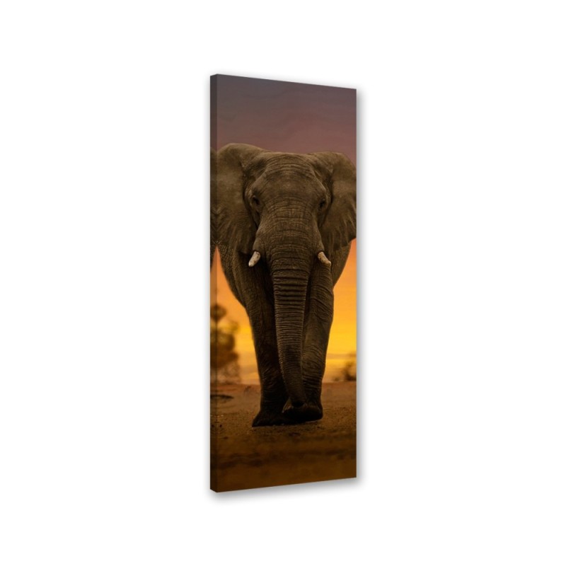 Interior design picture - Elephant in the desert | FEEBY