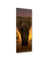 Interior design picture - Elephant in the desert | FEEBY