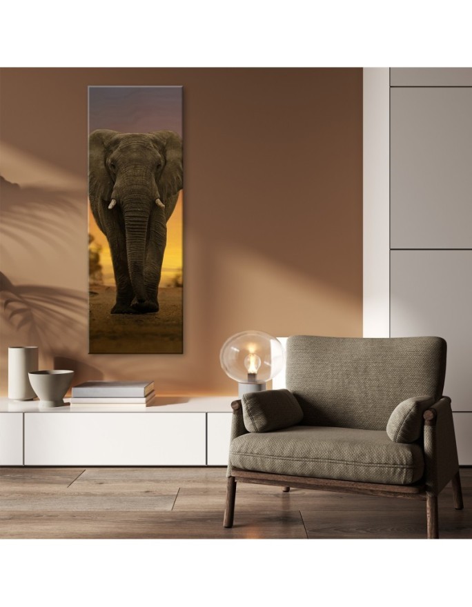 Interior design picture - Elephant in the desert | FEEBY