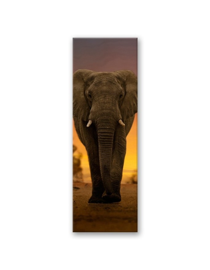 Interior design picture - Elephant in the desert | FEEBY