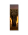 Interior design picture - Elephant in the desert | FEEBY