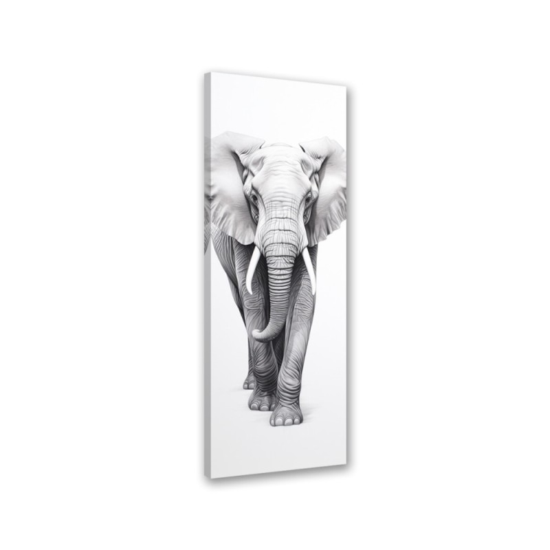 Canvas print - Monochrome elephant | FEEBY