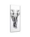 Canvas print - Monochrome elephant | FEEBY