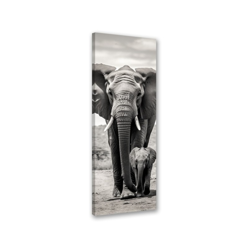 Canvas print - Black and white elephant | FEEBY
