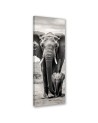 Canvas print - Black and white elephant | FEEBY