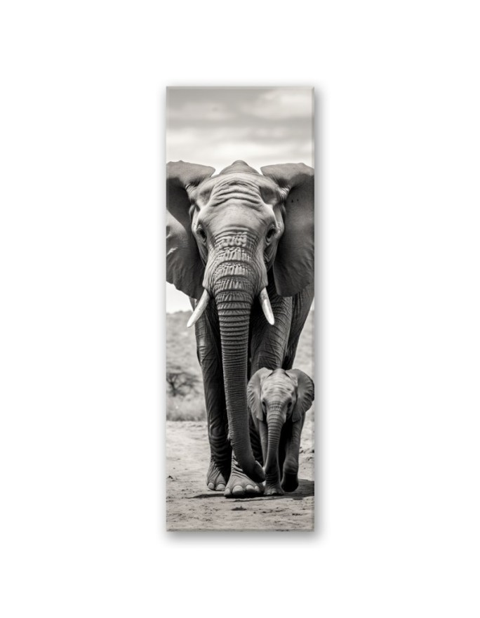 Canvas print - Black and white elephant | FEEBY