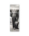 Canvas print - Black and white elephant | FEEBY