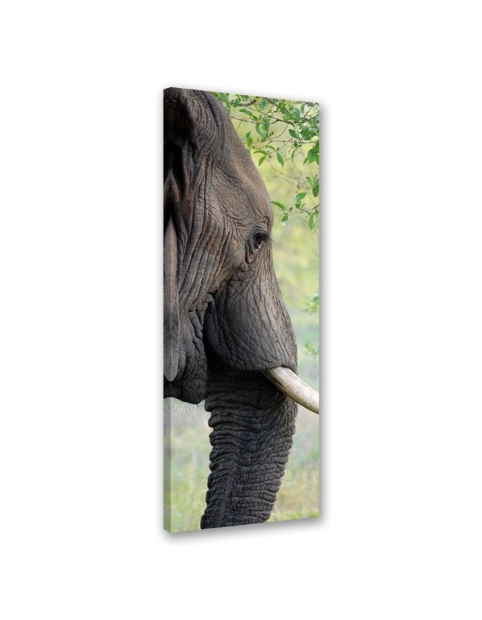 Decorative painting for wall - Elephant Animal Africa | FEEBY