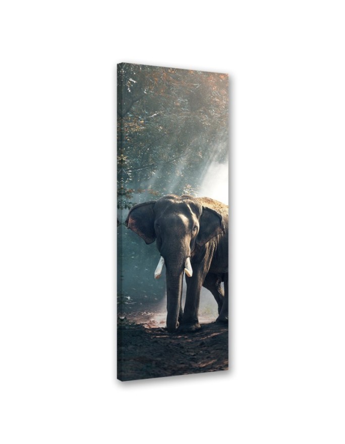 Canvas print for the living room - Elephant in the jungle | FEEBY