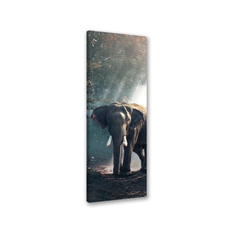 Canvas print for the living room - Elephant in the jungle | FEEBY