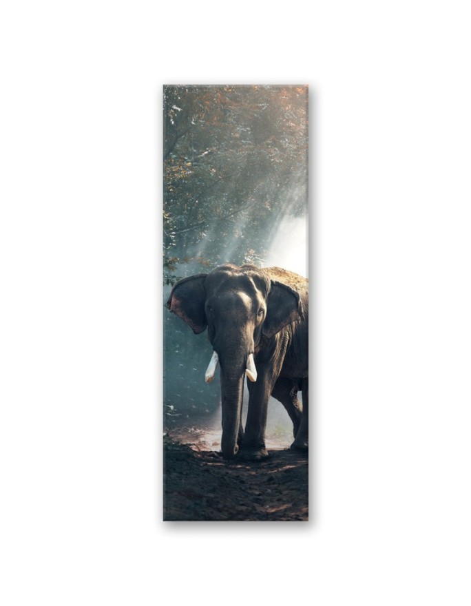 Canvas print for the living room - Elephant in the jungle | FEEBY