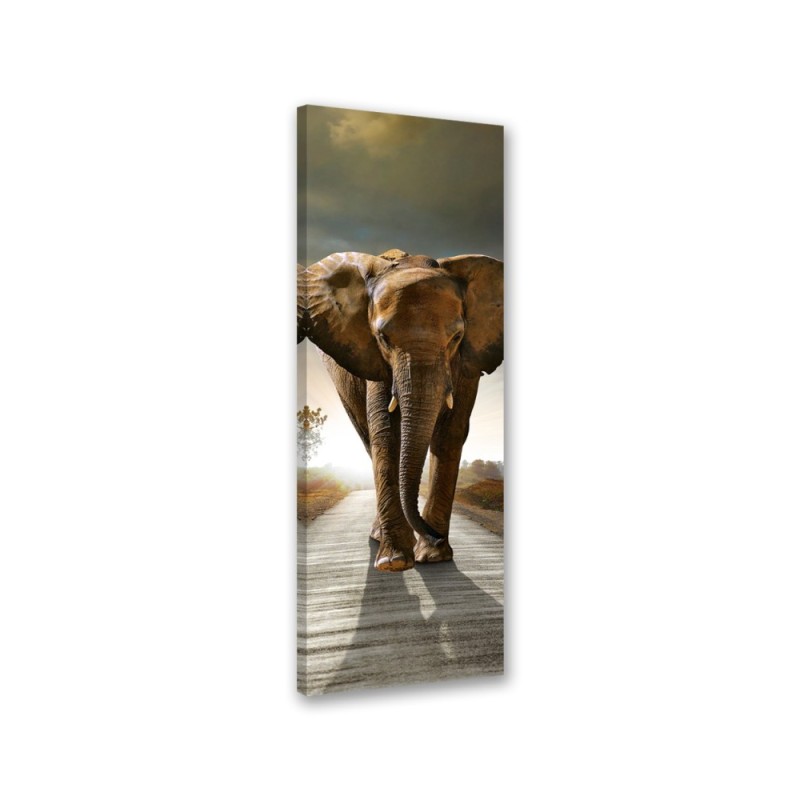 Canvas print for the bedroom - Elephant on a road | FEEBY