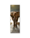 Canvas print for the bedroom - Elephant on a road | FEEBY