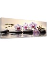 Interior design picture - Oriental orchids | FEEBY