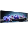 Wall painting for living room - Blue Zen Orchid | FEEBY