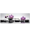 Canvas print - Spa Zen Orchid | FEEBY