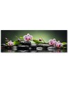 Canvas print - Zen spa green composition | FEEBY