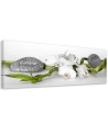 Canvas print for room - White zen orchid | FEEBY