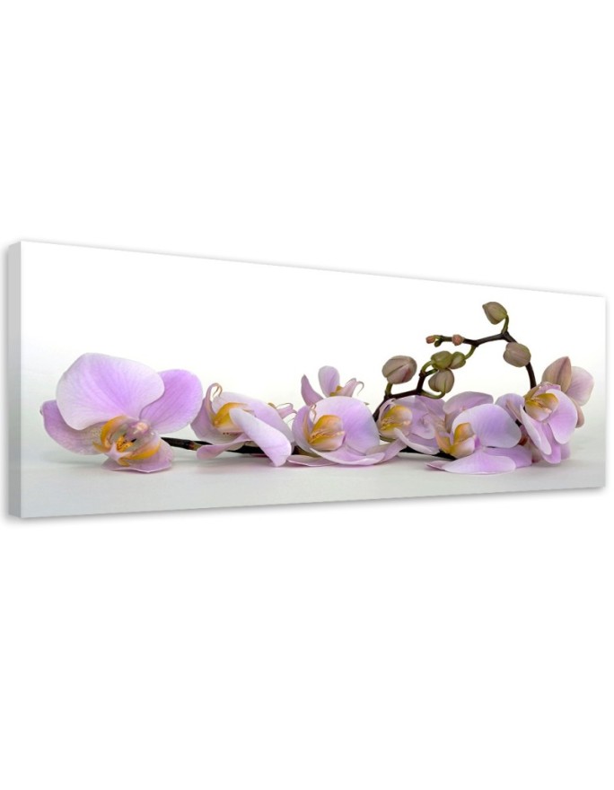 Canvas print Flowering...