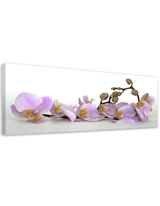 Modern canvas painting - Flowering orchid flower | FEEBY