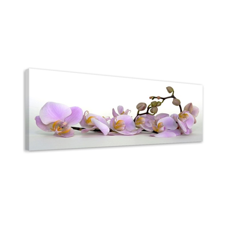 Modern canvas painting - Flowering orchid flower | FEEBY