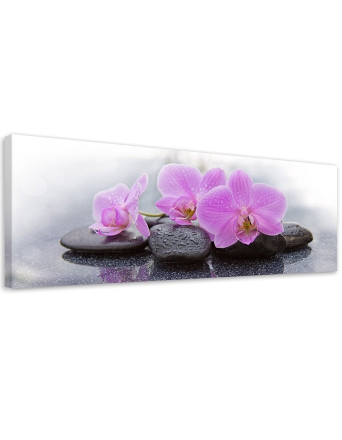 Decorative painting for wall - Pink orchids and stones | FEEBY
