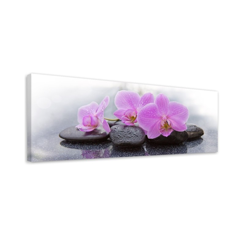 Decorative painting for wall - Pink orchids and stones | FEEBY