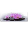 Decorative painting for wall - Pink orchids and stones | FEEBY