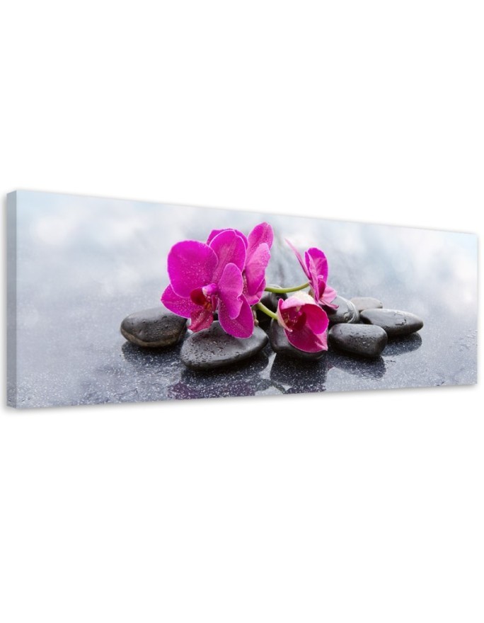 Canvas print for the living room - Pink Flower Orchid | FEEBY