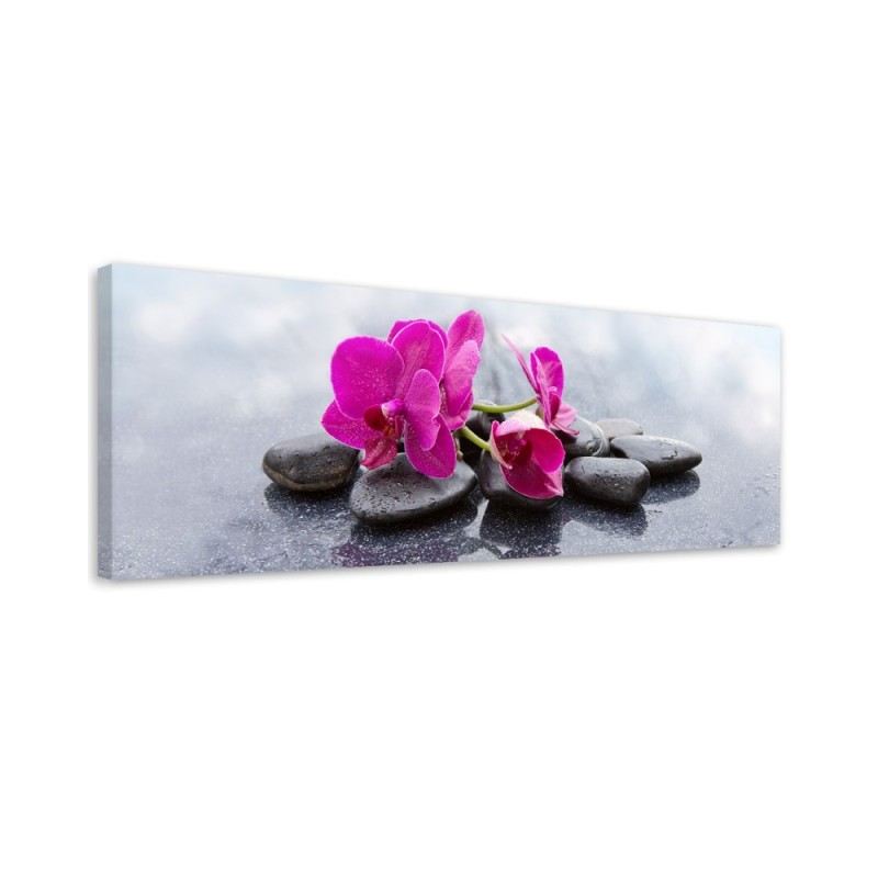 Canvas print for the living room - Pink Flower Orchid | FEEBY