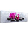 Canvas print for the living room - Pink Flower Orchid | FEEBY