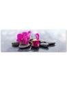 Canvas print for the living room - Pink Flower Orchid | FEEBY