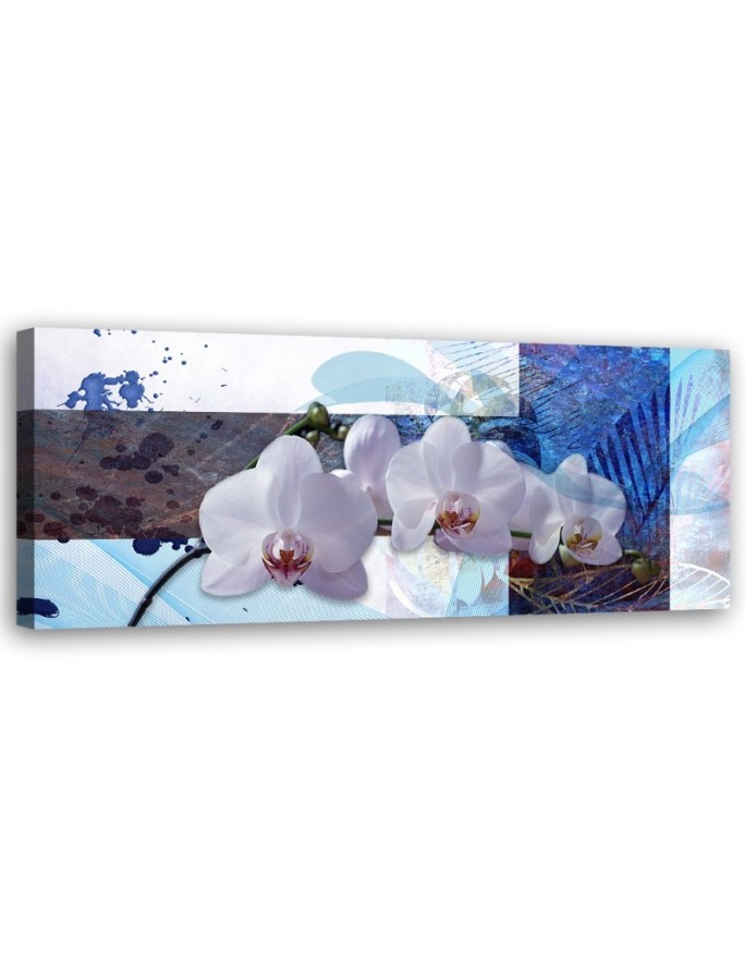 Canvas print Blue orchid...