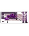 Modern canvas print - Purple orchid | FEEBY