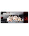 Decorative painting - White orchids | FEEBY