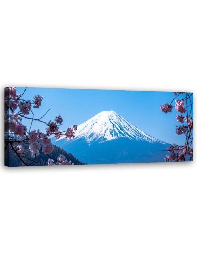 Cherry blossoms and mount fuji - Image for a room | FEEBY