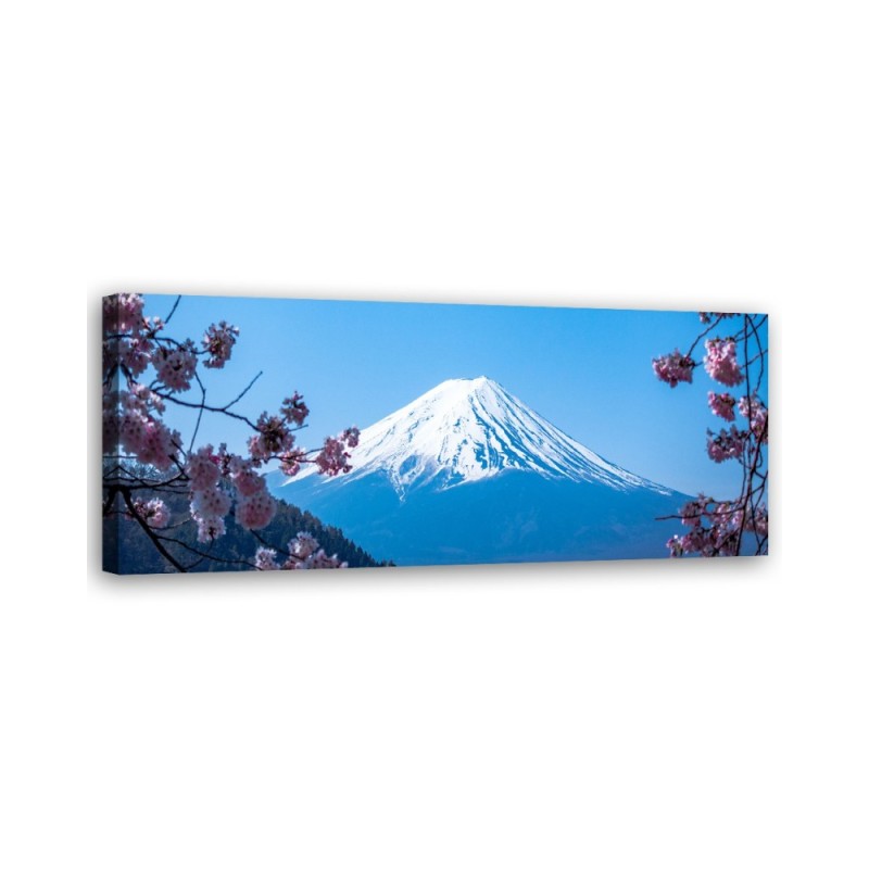 Cherry blossoms and mount fuji - Image for a room | FEEBY