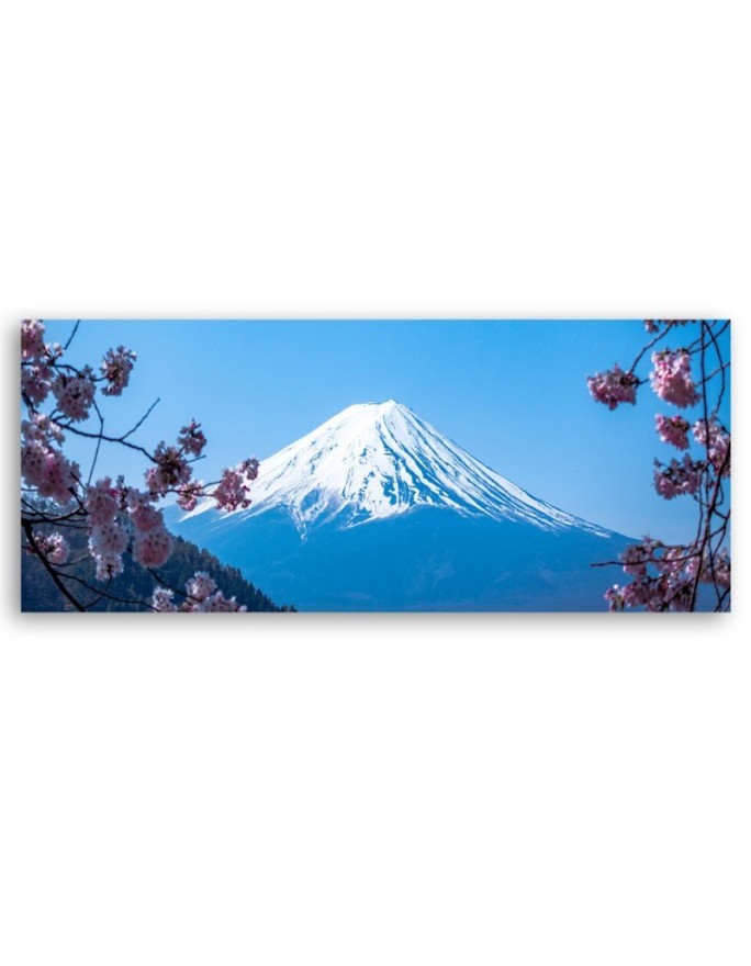 Cherry blossoms and mount fuji - Image for a room | FEEBY