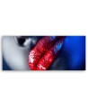 Red lipstick - Canvas painting | FEEBY