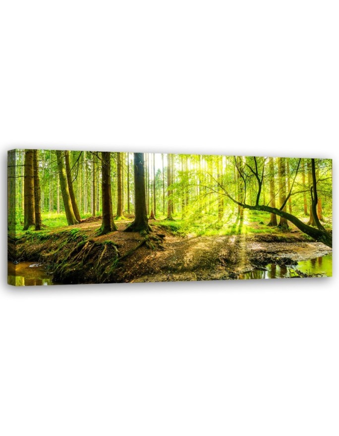 Canvas print Green forest