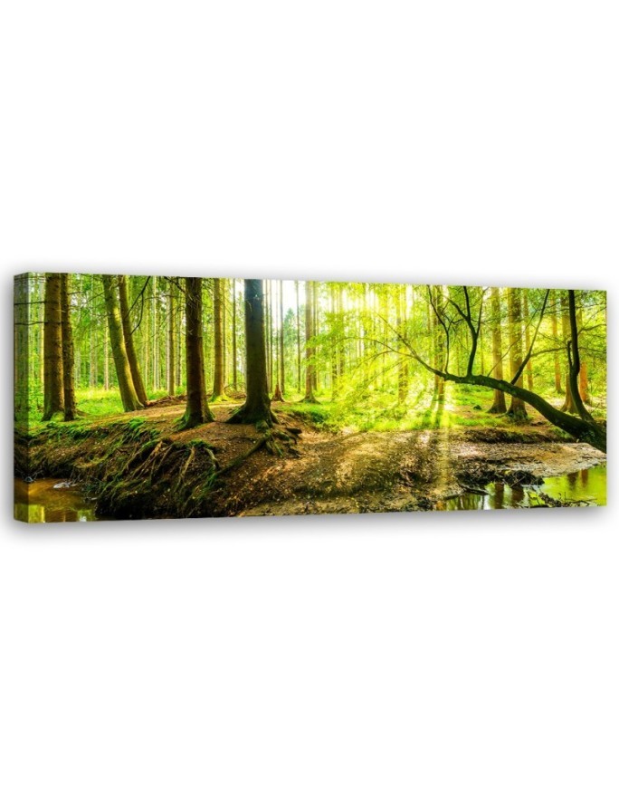 Green forest - Decorative canvas picture | FEEBY