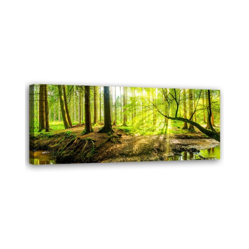 Green forest - Decorative canvas picture | FEEBY