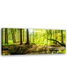Green forest - Decorative canvas picture | FEEBY
