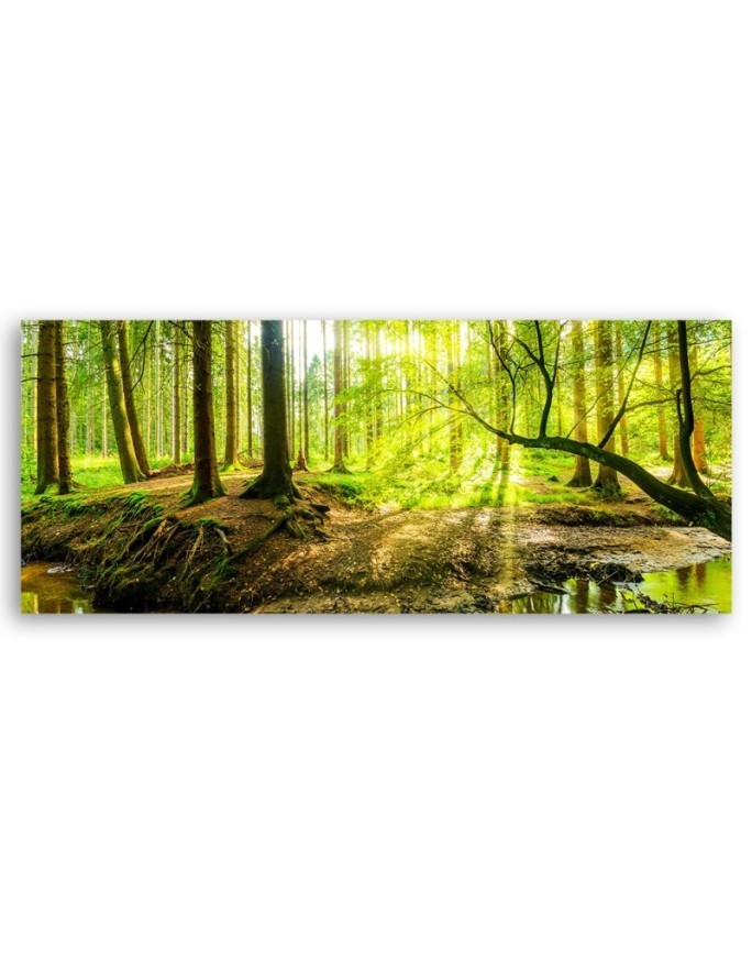 Green forest - Decorative canvas picture | FEEBY
