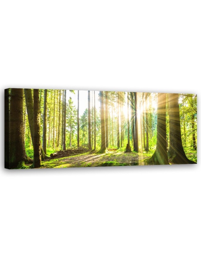 Canvas print Sun rays in...