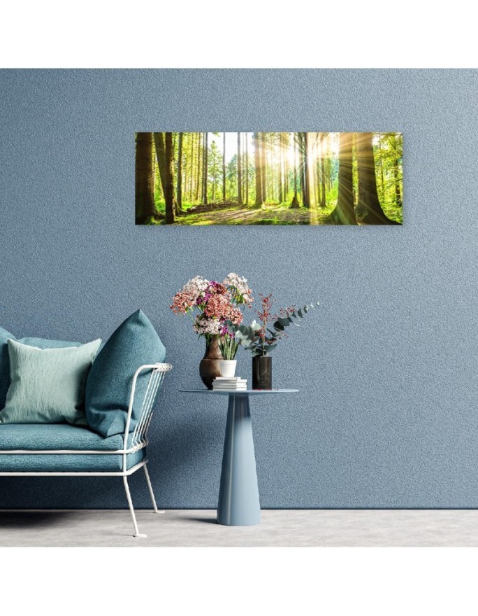 Sunshine in the forest - Image for a room | FEEBY