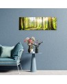 Sunshine in the forest - Image for a room | FEEBY
