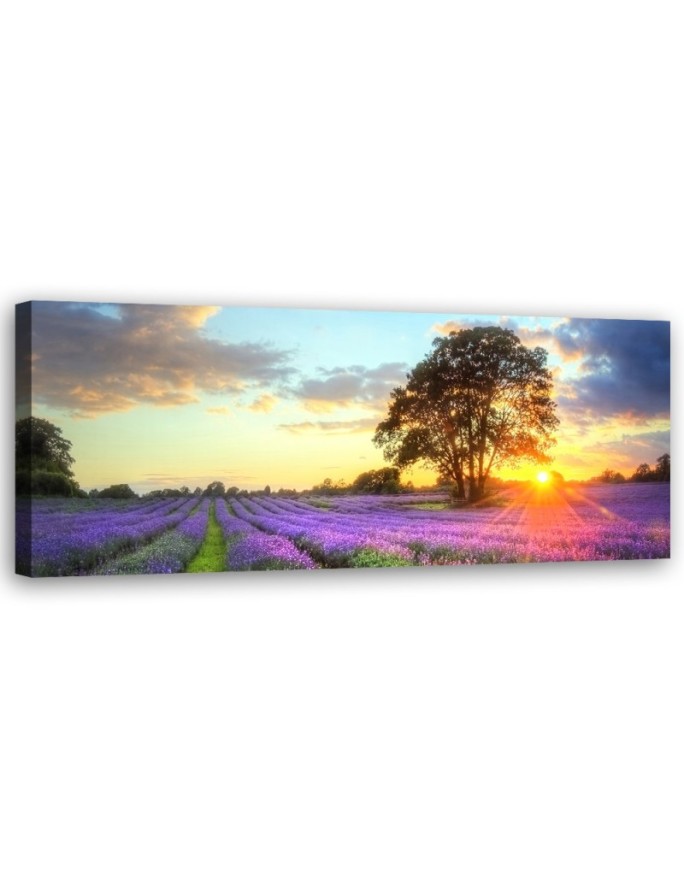 Canvas print Tree in a...